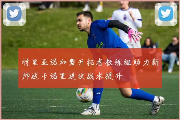 特里亚诺加盟开拓者教练组助力新帅迈卡诺里进攻战术提升
