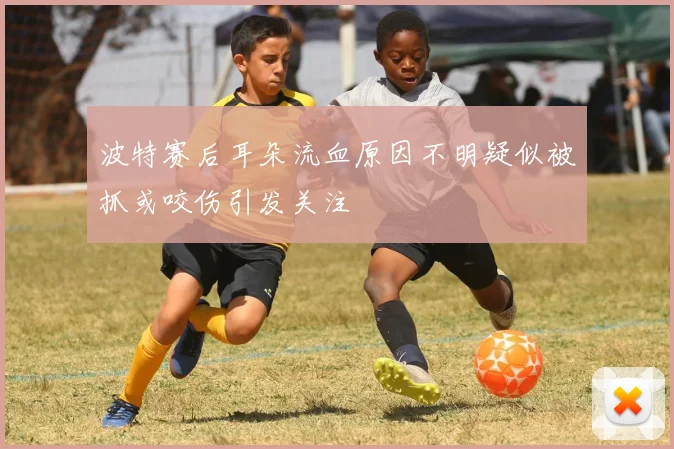 波特赛后耳朵流血原因不明疑似被抓或咬伤引发关注