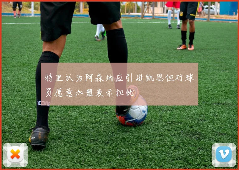 特里认为阿森纳应引进凯恩但对球员愿意加盟表示担忧